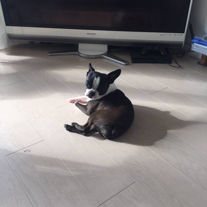 E0eb7714 2014 42af b43d e1c7292fbe6d 1518429369730