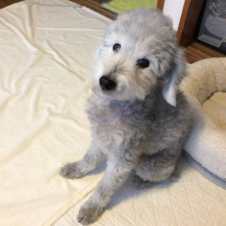 E0eb8400 4038 40cd b791 a78723392872 1592785496020