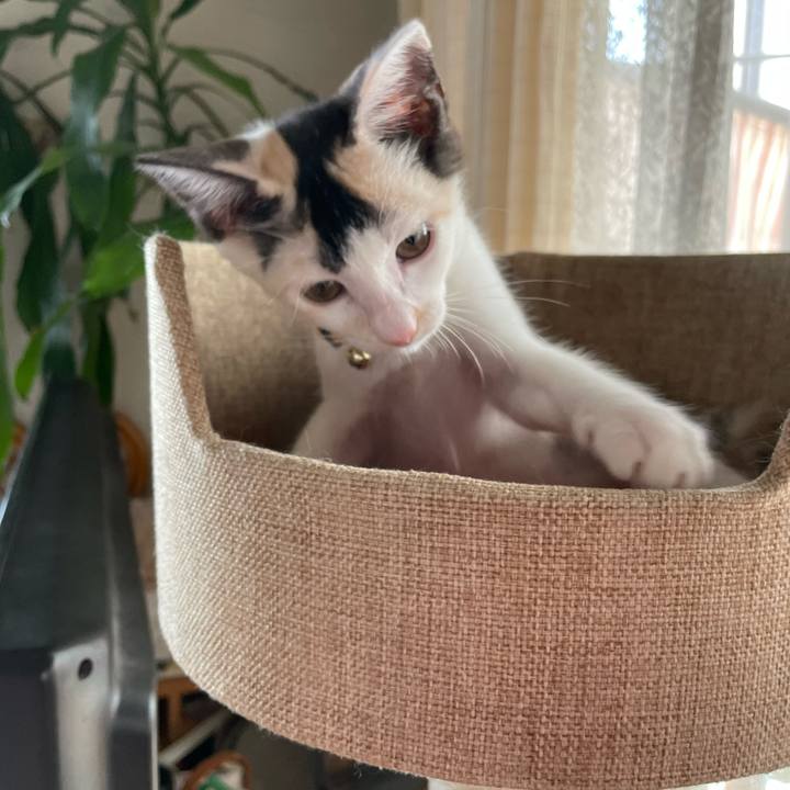 E0ebca30 6c8e 4116 b3b2 21f30a7c5f91 1658621271956