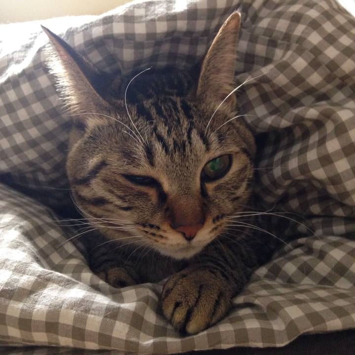 E0ebcbee af2e 4a30 80e2 95ee29b1fa61 1511051638133