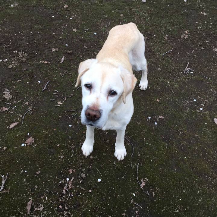 E0ebe592 7394 4d0d 96e2 e5e0c3c48be2 1556094566172