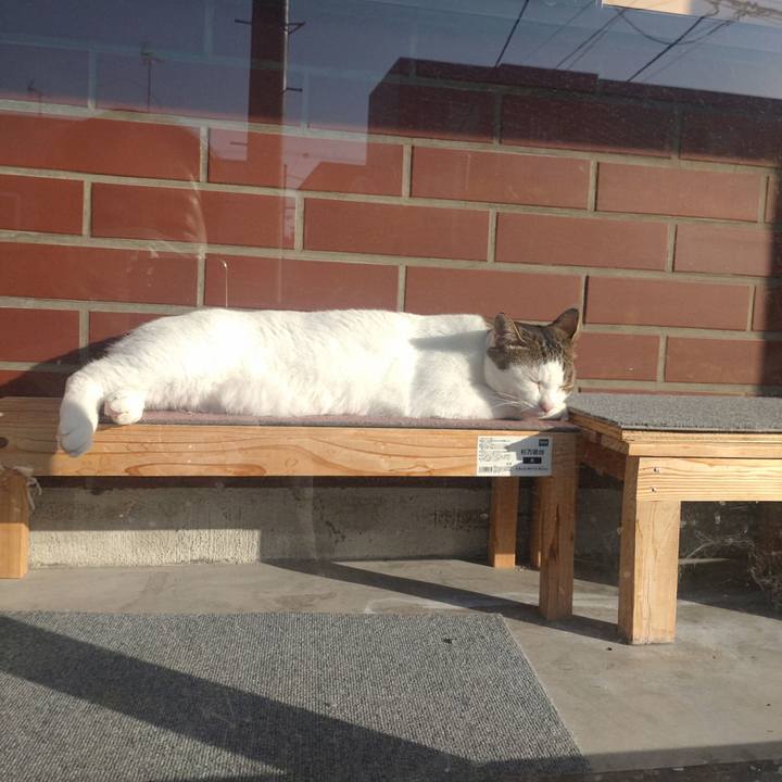 E0ec0be1 794e 4b6c 8420 3e062774790b 1758007308719