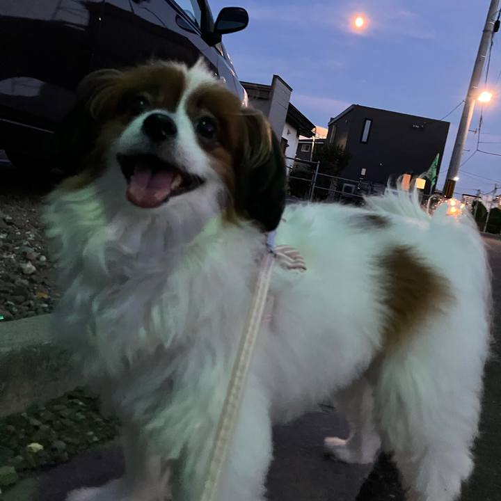 E0ec2370 af38 42bf 9d5b e988bea45afb 1756940652542