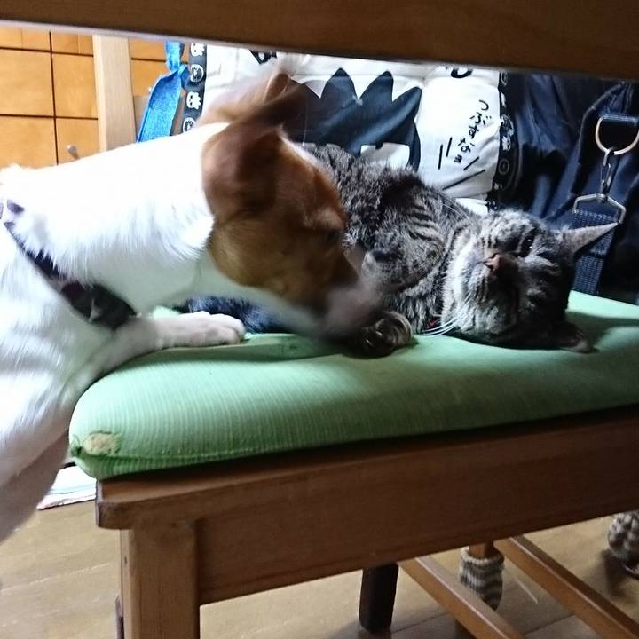 E0ec3f42 bd6c 4850 835c 79b257d0f0e1 1523705151999