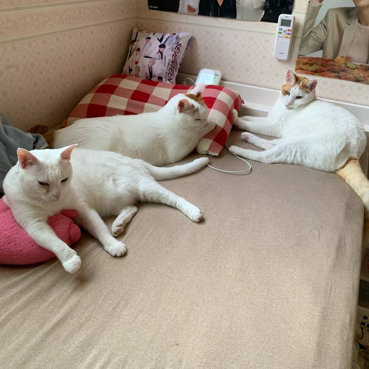 E0ec4040 5043 48e2 8638 b2ccd4f58b55 1626991054777