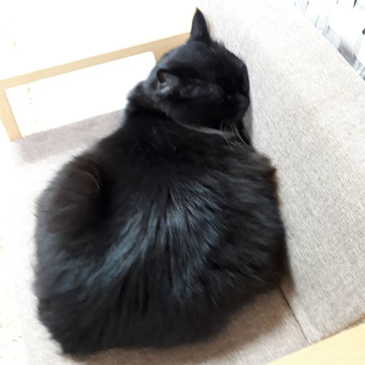 E0ec5d2e ee27 4e55 b87a 4a981fb4341b 1518183028522