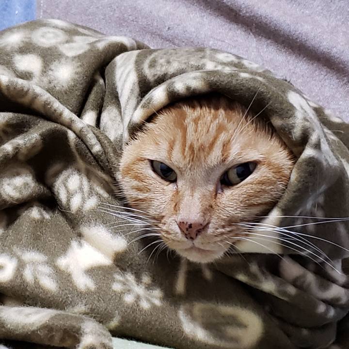 E0ec6fc2 9a5f 4cc1 a001 07a93a3b9246 1733701052022