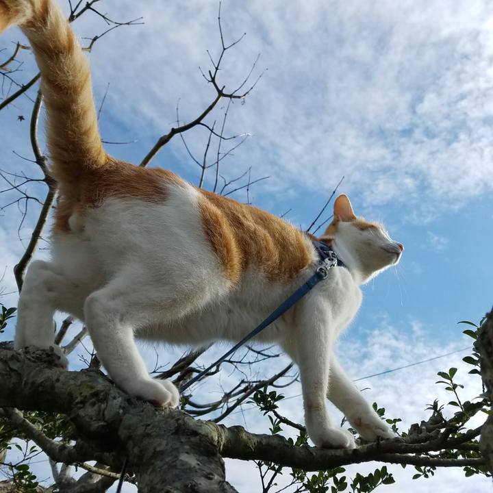 E0ec8ac4 f2ea 4764 8556 722a44a8c298 1511690107943