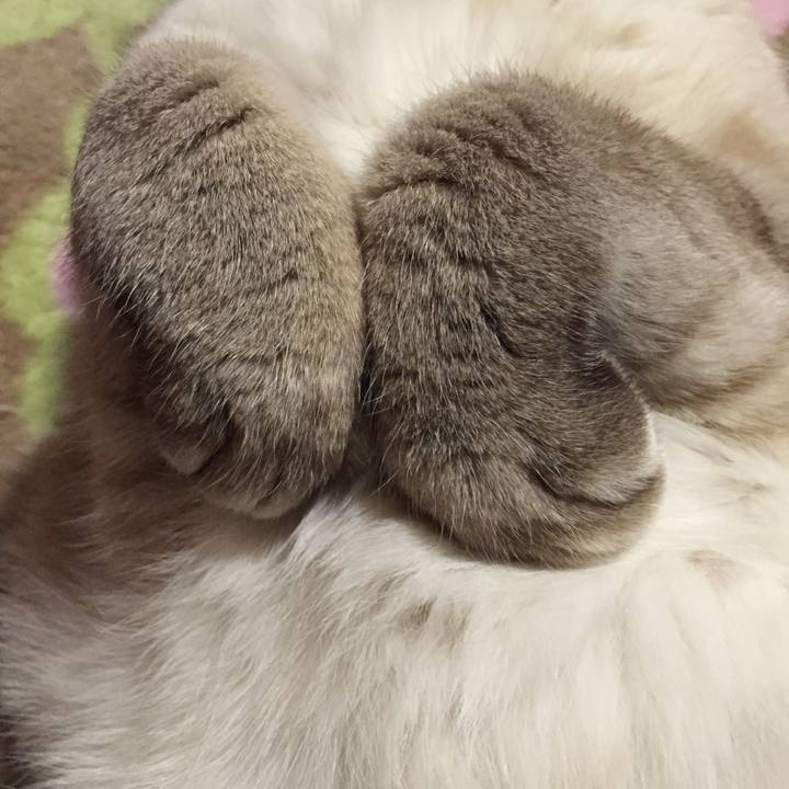 E0ecaa9e 1a74 4761 8ba7 92029059948e 1517572964083