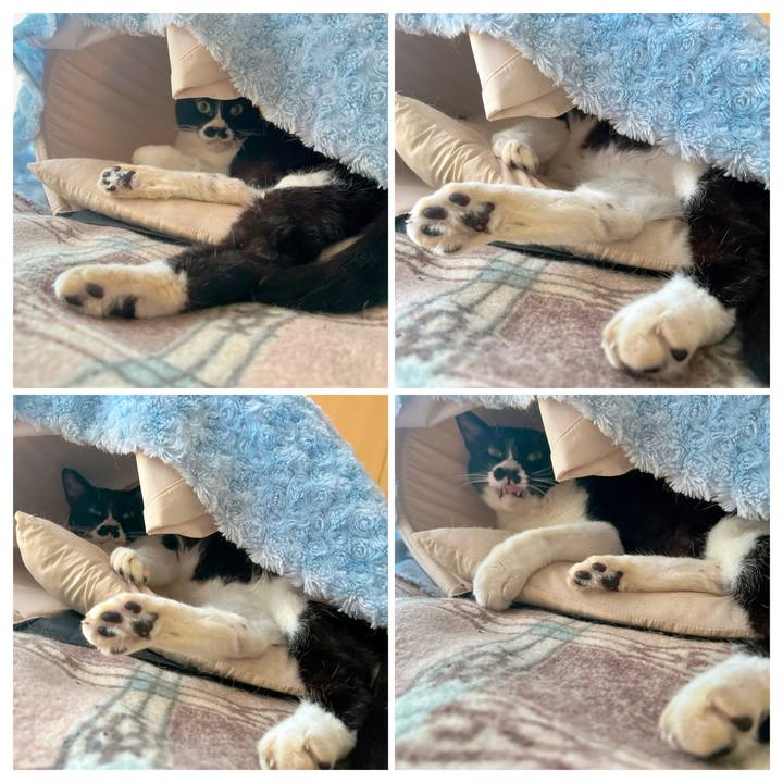 E0eccb4b cb4b 4c7e b8ec 84b70dd83abb 1684729739310