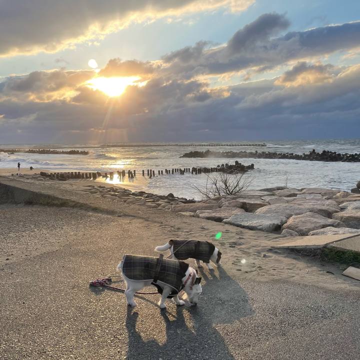 E0ecd007 cc63 4392 a2dd a775edb4a3ae 1742387704849