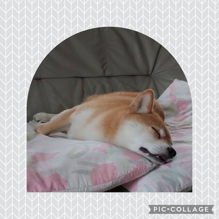 E0ecdadd 5918 46c8 808e 418d66db6db3 1721801721293