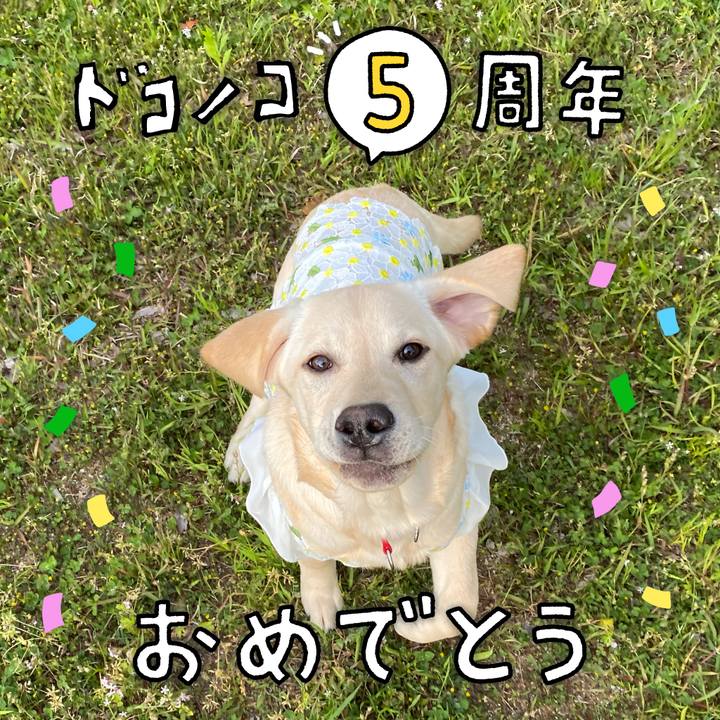 E0ecdd38 7208 49cd b4c0 988d7a07681b 1623593349256