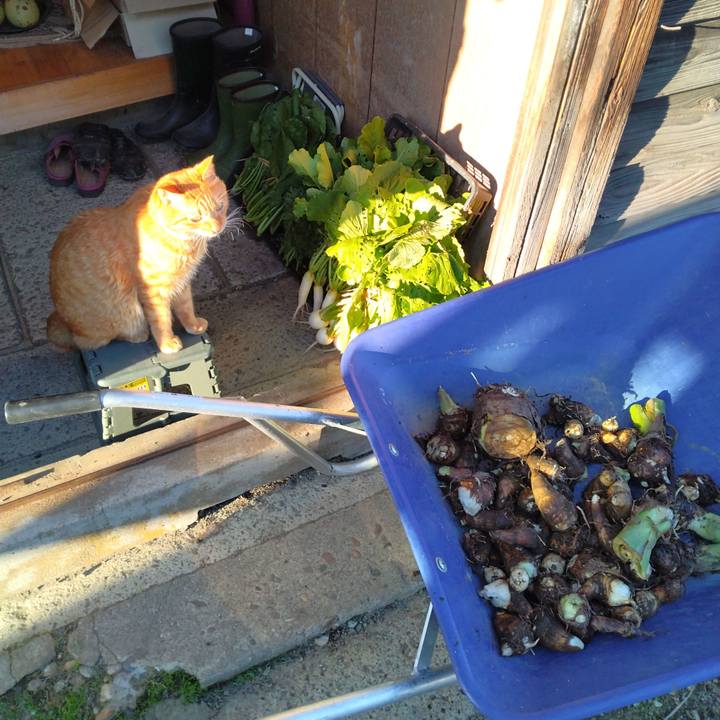 E0ece789 854f 4e13 9593 fe3cd4033114 1697274551534