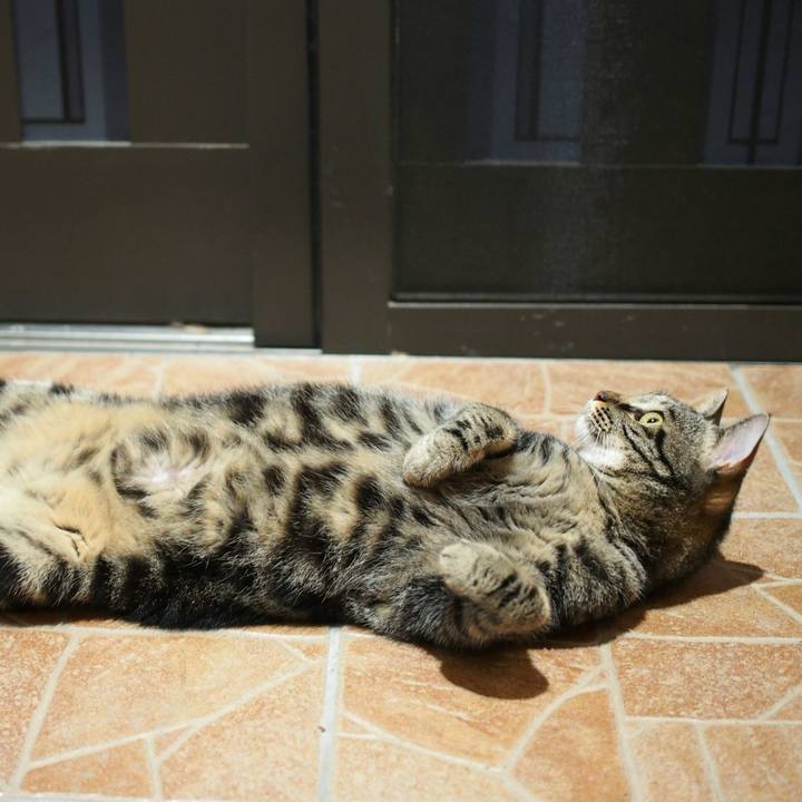 E0ed6642 1e6b 4266 a190 2107694530fd 1532951259905