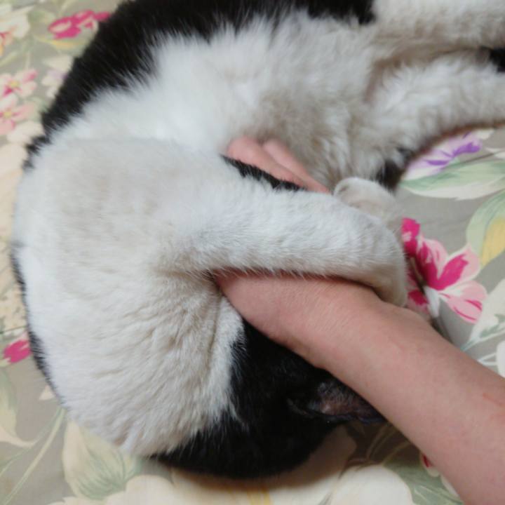 E0edbc46 fff9 4592 9b9d f573f99f08d0 1624319811356