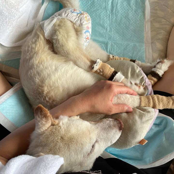 E0edc31a 95d9 4a74 bfd8 2c91f5ee667a 1689216178305