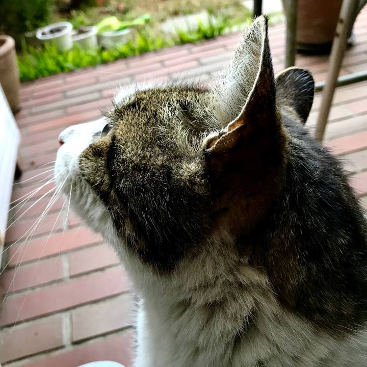 E0ee19dd 050c 41e7 8962 48ac8fefa1ff 1518755550003