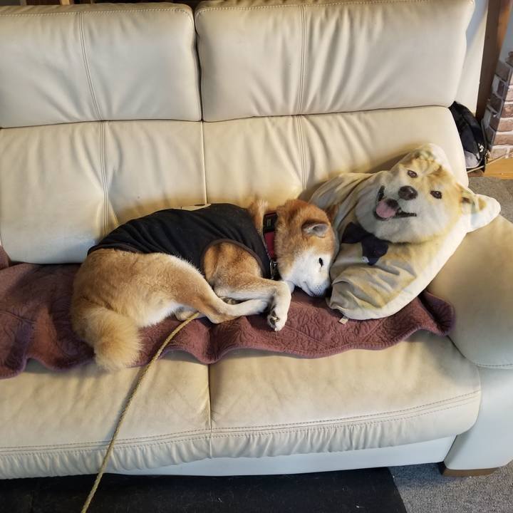 E0ee6591 0df4 43eb a860 788da9e33854 1730333822816