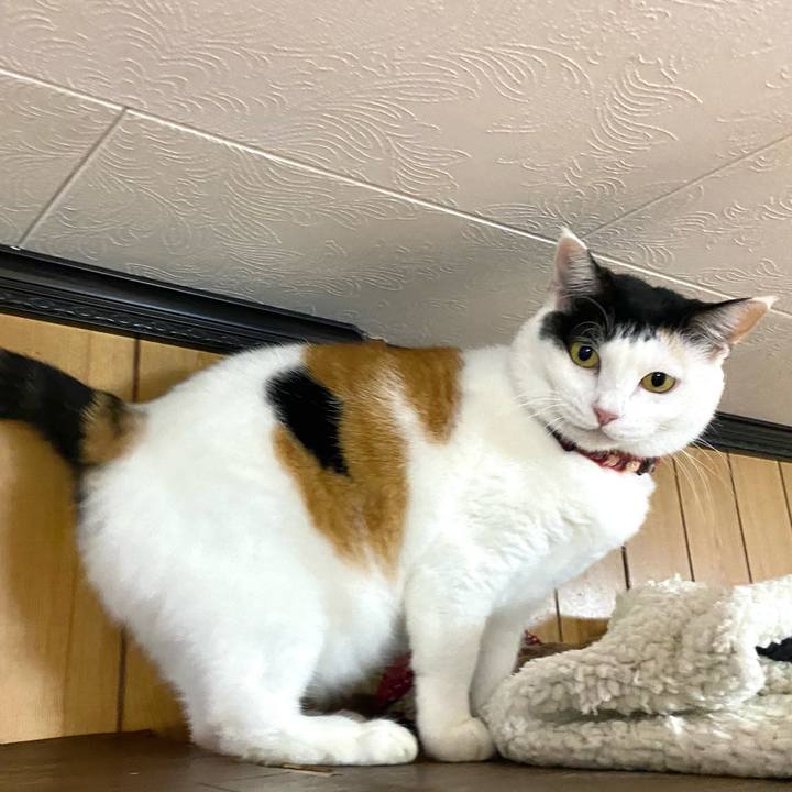 E0ee8873 f158 41b1 bb39 f62e2759c2e5 1702391252249