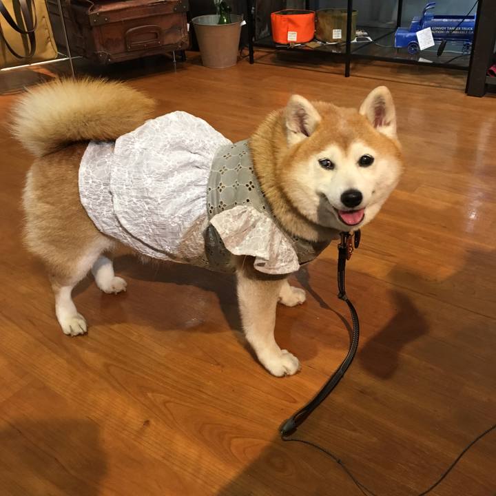 E0ee983f ab39 494e 840b 80daaed6e054 1557979622317