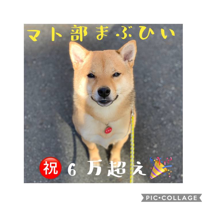 E0eeb8f8 7069 4134 928a 52ce97c16ae0 1578564802299