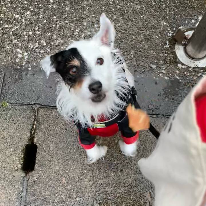 E0ef4d80 edfc 4b5c ac1c a00623921a57 1712130672365