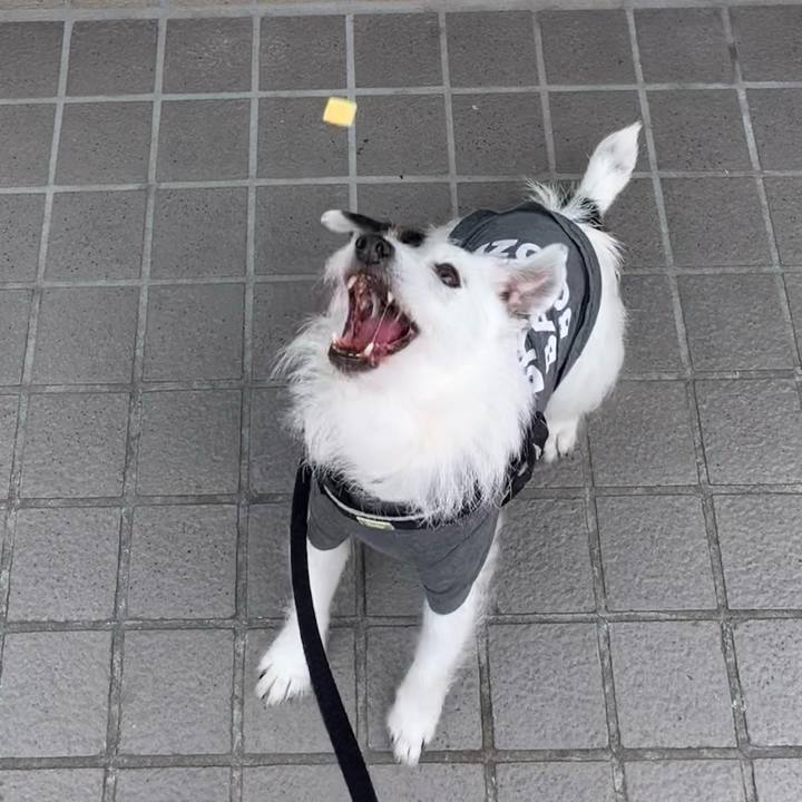 E0ef5052 5146 4ede bbbb 5ab50e0155f5 1713661019007