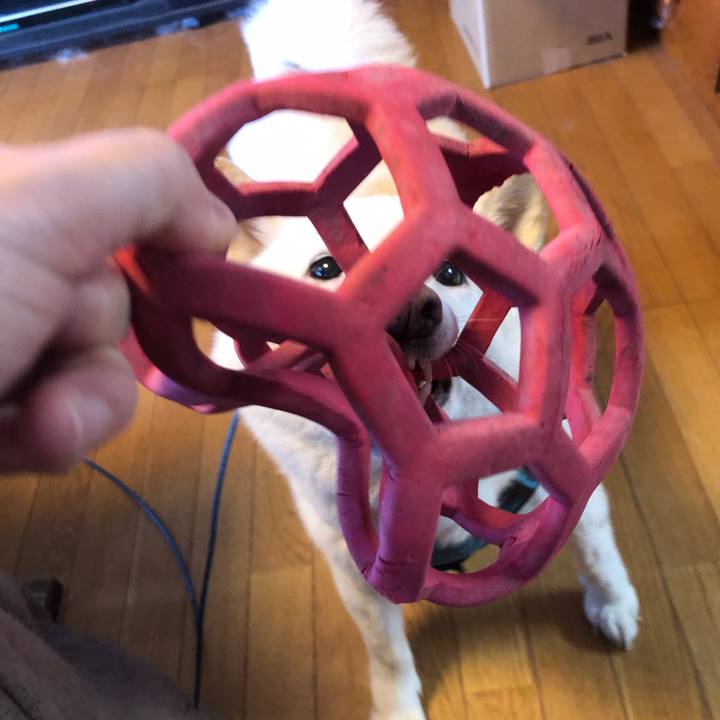 E0ef777c 5fc8 4099 8248 076e2a9bcda3 1732923157457