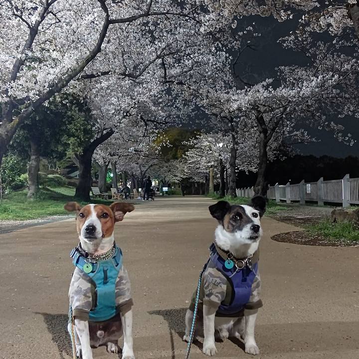 E0ef8da1 ecc0 4371 959c 4b311f0ff38d 1679914911264