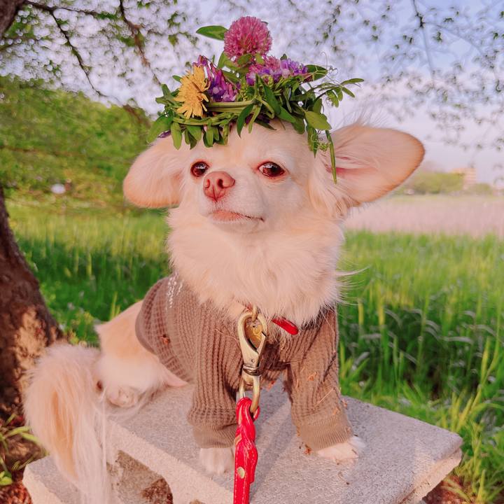 E0efabfd 4781 4dde b8c9 c46c5b87b15a 1681905279386