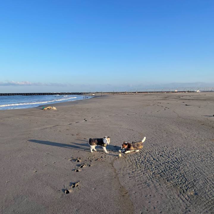 E0efaf79 183f 411f a634 86e852fad2e2 1771543101739