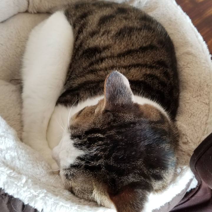 E0efb656 e5c8 45f5 9d28 8a1b98cd6a08 1613173294490