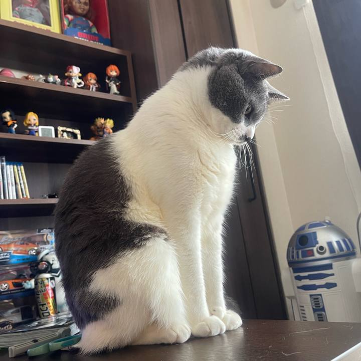 E0efc05f 7ace 4dea 9007 3deb335a4921 1712969561532