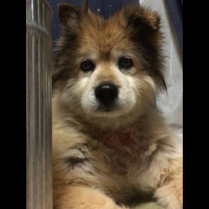 E0efcda4 6d08 4720 97be 70d8178336b8 1660176367555