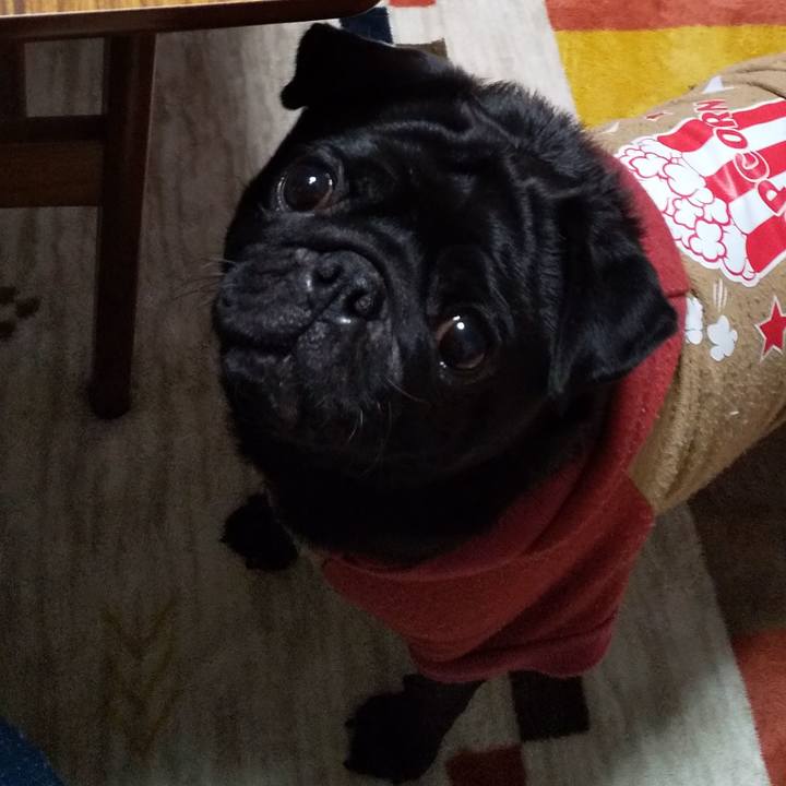 E0efed8f 94ed 4acc b069 445261789aec 1606484374726