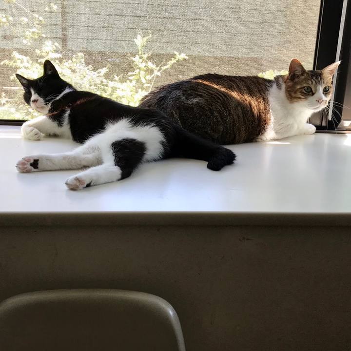 E0f009a2 6931 4bb5 94dc 8f000ab1868a 1558662051007