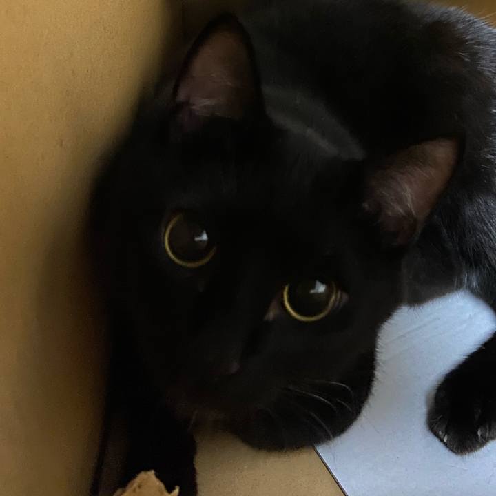 E0f04022 2093 465e 8b74 05742e0ea6dd 1630501065850