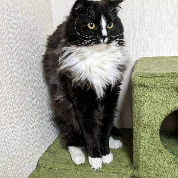 E0f053cc 7d72 4a4b 98a0 c474bc5cf481 1678620379108