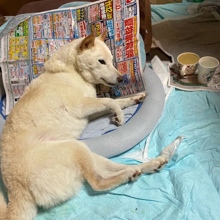 E0f07192 182f 4b24 a8e9 965ad18b6175 1655056456478