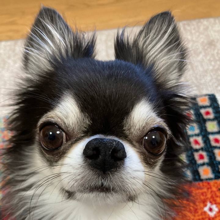 E0f08d99 f4ad 4d00 88bc e94a6496635e 1704065644546