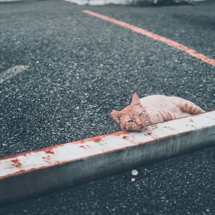 E0f0bc97 9d3c 4577 97ca 529300607fcd 1536808531178