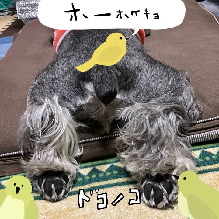 E0f0e58a d0af 46dd 8e40 ad822f0ee334 1711162233276