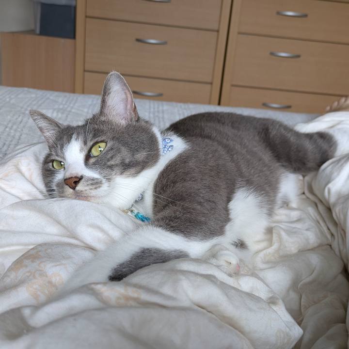 E0f0ee67 3819 4f71 a1cc 6ddcf9d8013f 1729297272167