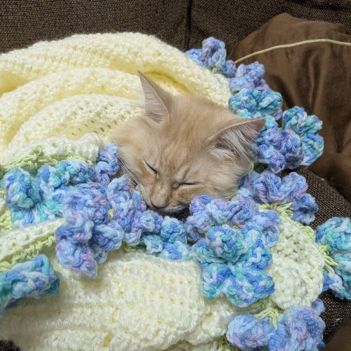 E0f120e4 7a06 4178 9dbe fd0f9dc48981 1762083640765