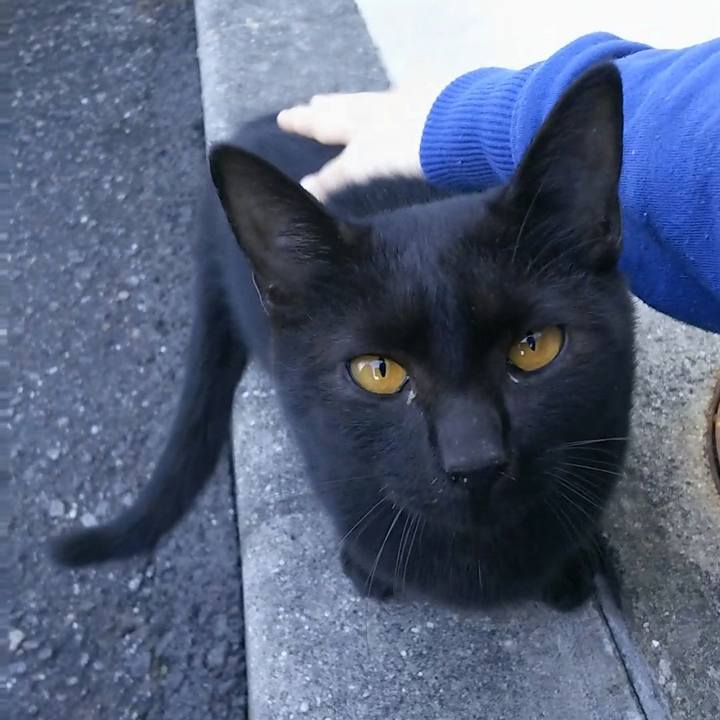 E0f12cd6 1188 42d5 a297 8036209286d5 1524958519502