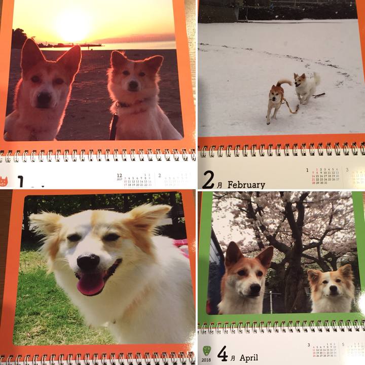 E0f13a99 0047 4b1d 8463 32da811f7bc6 1514022014314