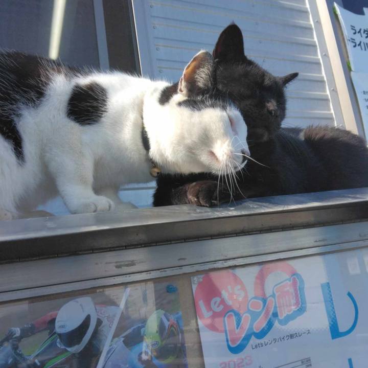 E0f142fc 06c0 4c43 972f 120ce62ae267 1698473837191