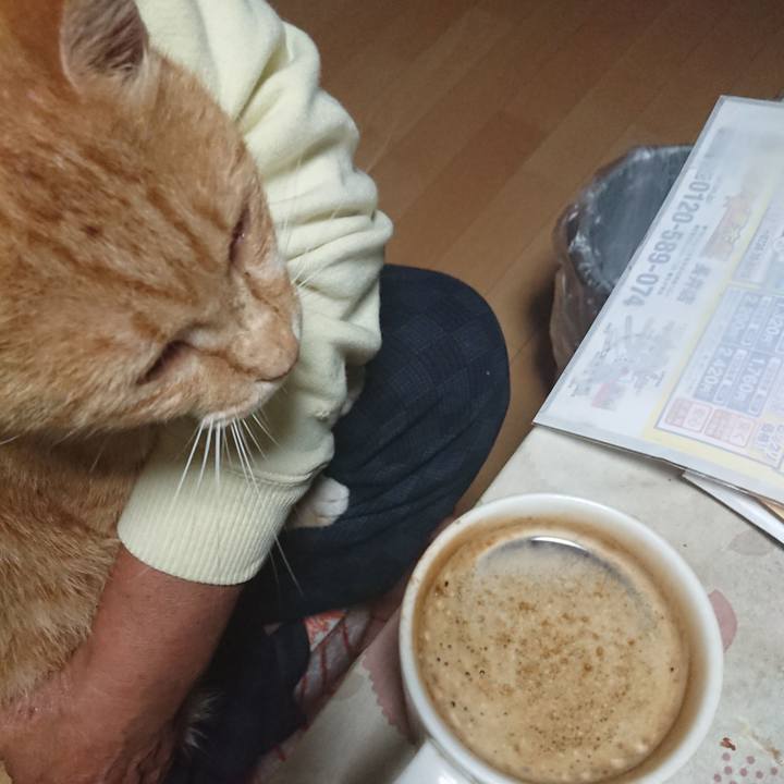 E0f1a3f1 6346 4fb1 871c a76691b778d1 1596916591462