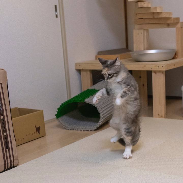 E0f1a933 fc6b 43e1 8107 6b3ab4dd6a0a 1537714691891